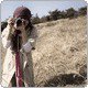 Bing Zheng Photo 13