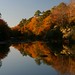 Matthew Overman Photo 12