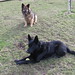 Rick Shepherd Photo 7