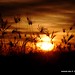 Melanie Diaz Photo 36