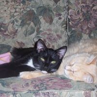 Stacey Curtiss Photo 6