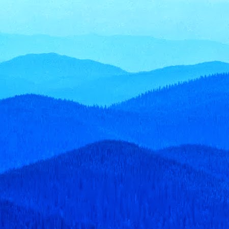 Tyler Murray Photo 38