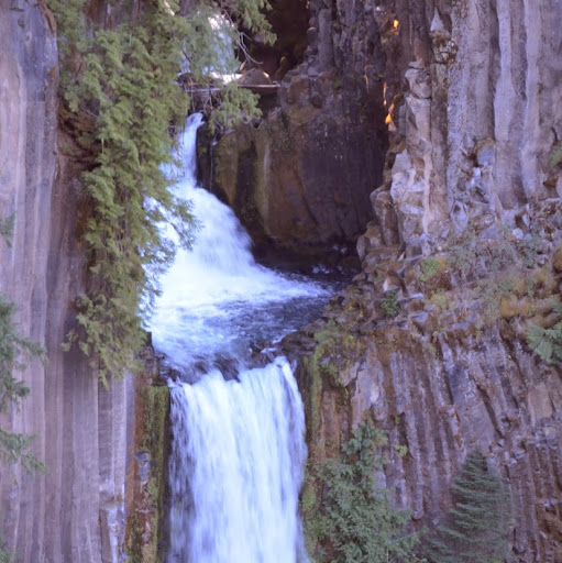 Janet Walton Photo 11
