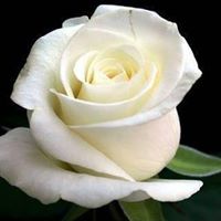 Rebecca Caro Photo 16