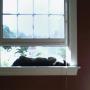Shawn Flynn Photo 32