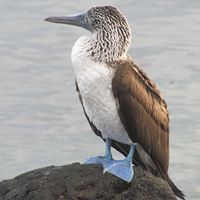 Deborah Esposito Photo 22