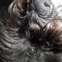 Molly Draper Photo 6