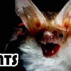 Suzanne Morton Photo 36