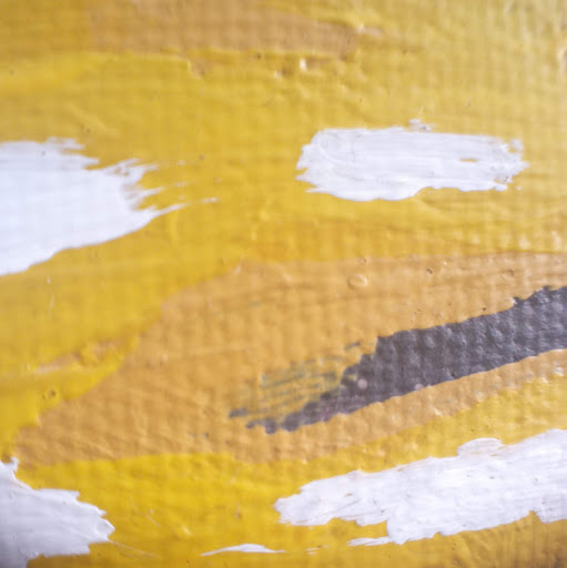 Stephen Fish Photo 17