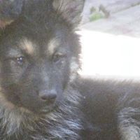 Sandra Stafford Photo 18