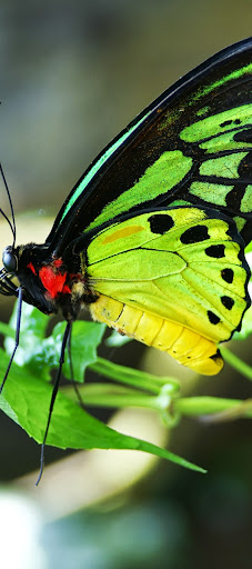 Pam Mcmillan Photo 12