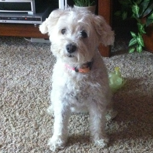 Julie Monroe Photo 35 Julie Monroe Photo 35