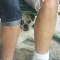 Jimmy Hampton Photo 24