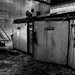 Matthew Staton Photo 33