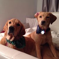 Alexander Fraser Photo 34