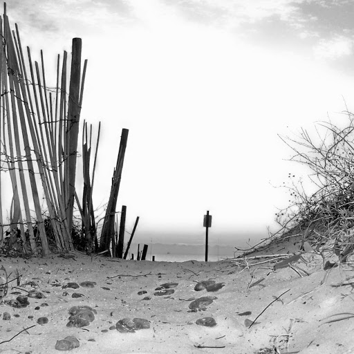 Harold Gray Photo 30