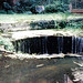 Mary Weir Photo 10