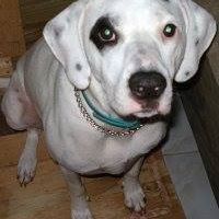 Robert Vazquez Photo 27