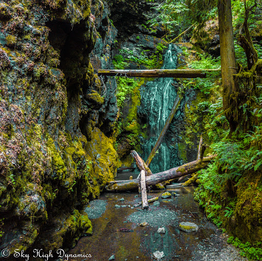 Adam Rector Photo 31