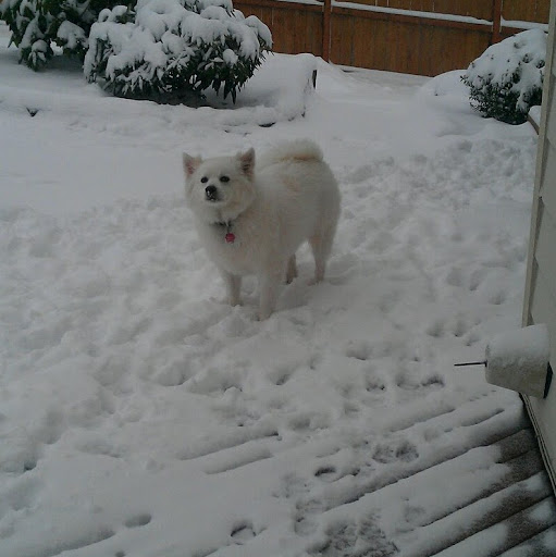 Janis Johnson Photo 5