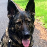 Debbie Kyle Photo 17