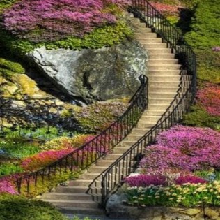 Carol Morris Photo 7
