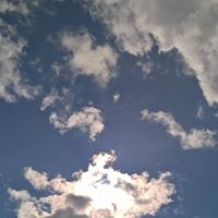 David Davidson Photo 24 David Davidson Photo 24