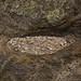 Sherry Ash Photo 17