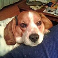 Cynthia Webber Photo 14