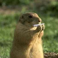 Terry Peters Photo 18