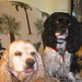 Peter Salas Photo 25