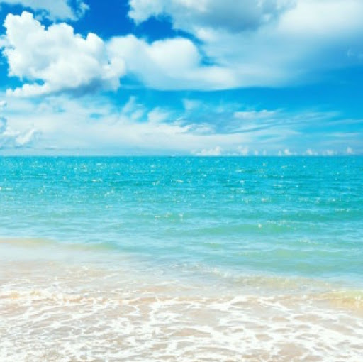 Marisel Perez Photo 18