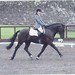 Ann Mcmillan Photo 9