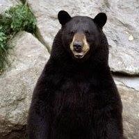 Nancy Mackin Photo 6