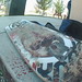 Jason Ervin Photo 9
