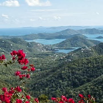 Shauna Anderson Photo 43