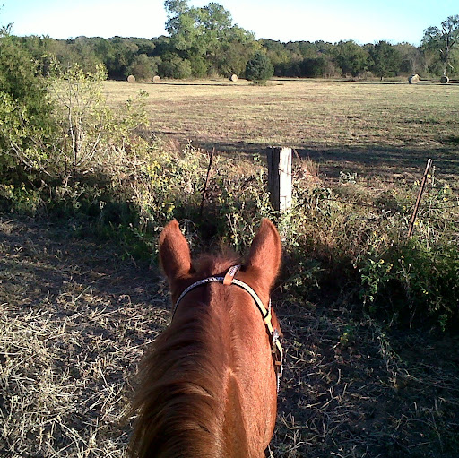 Michele Applegate Photo 9