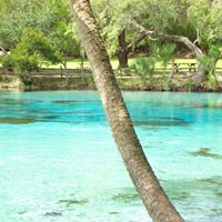 Patricia Schaeffer Photo 26