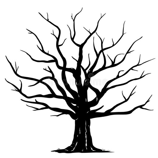 Jean Wright Photo 13