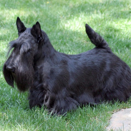 Jeanie Jennings Photo 20