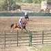 James Greer Photo 17