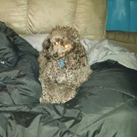 Darlene Scott Photo 32