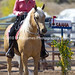 Philip Daly Photo 31