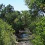 Ann Perdue Photo 33