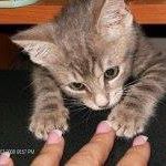 Sydney Cruz Photo 10