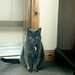 Bonnie Parent Photo 12