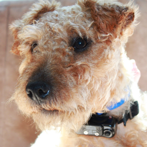 Teri Miller Photo 7 Teri Miller Photo 7