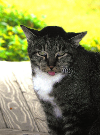 Katie Lowry Photo 20