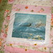 Cindy Gentry Photo 10