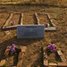 Brad Bingham Photo 18